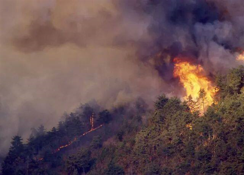 Divieto di abbruciamenti vegetali nei mesi di luglio e agosto
Divieto di combustione sul territorio della Regione Piemonte